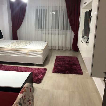 Ana Studio Apartment Galaţi エクステリア 写真