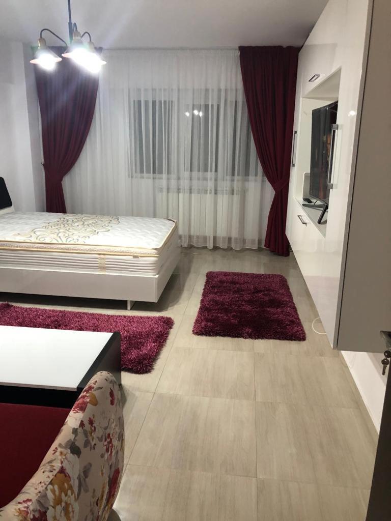 Ana Studio Apartment Galaţi エクステリア 写真