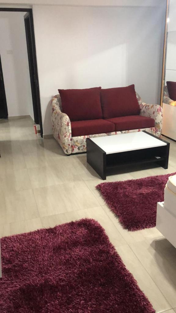 Ana Studio Apartment Galaţi エクステリア 写真