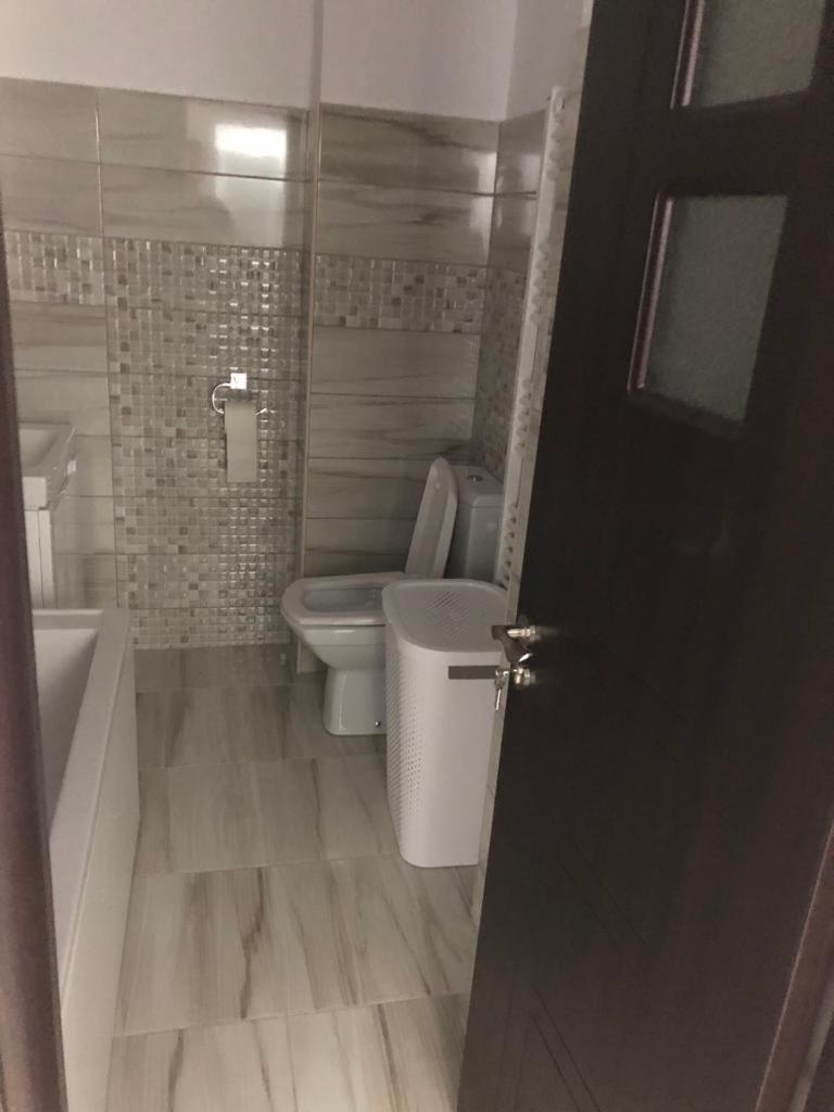 Ana Studio Apartment Galaţi エクステリア 写真