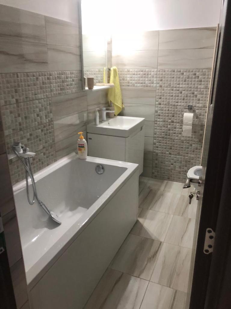 Ana Studio Apartment Galaţi エクステリア 写真